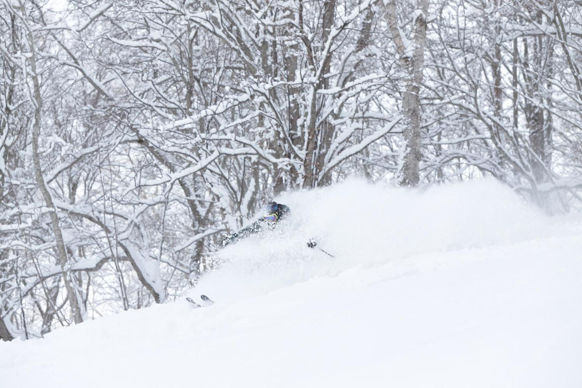 Niseko Highland Cottages Extérieur photo