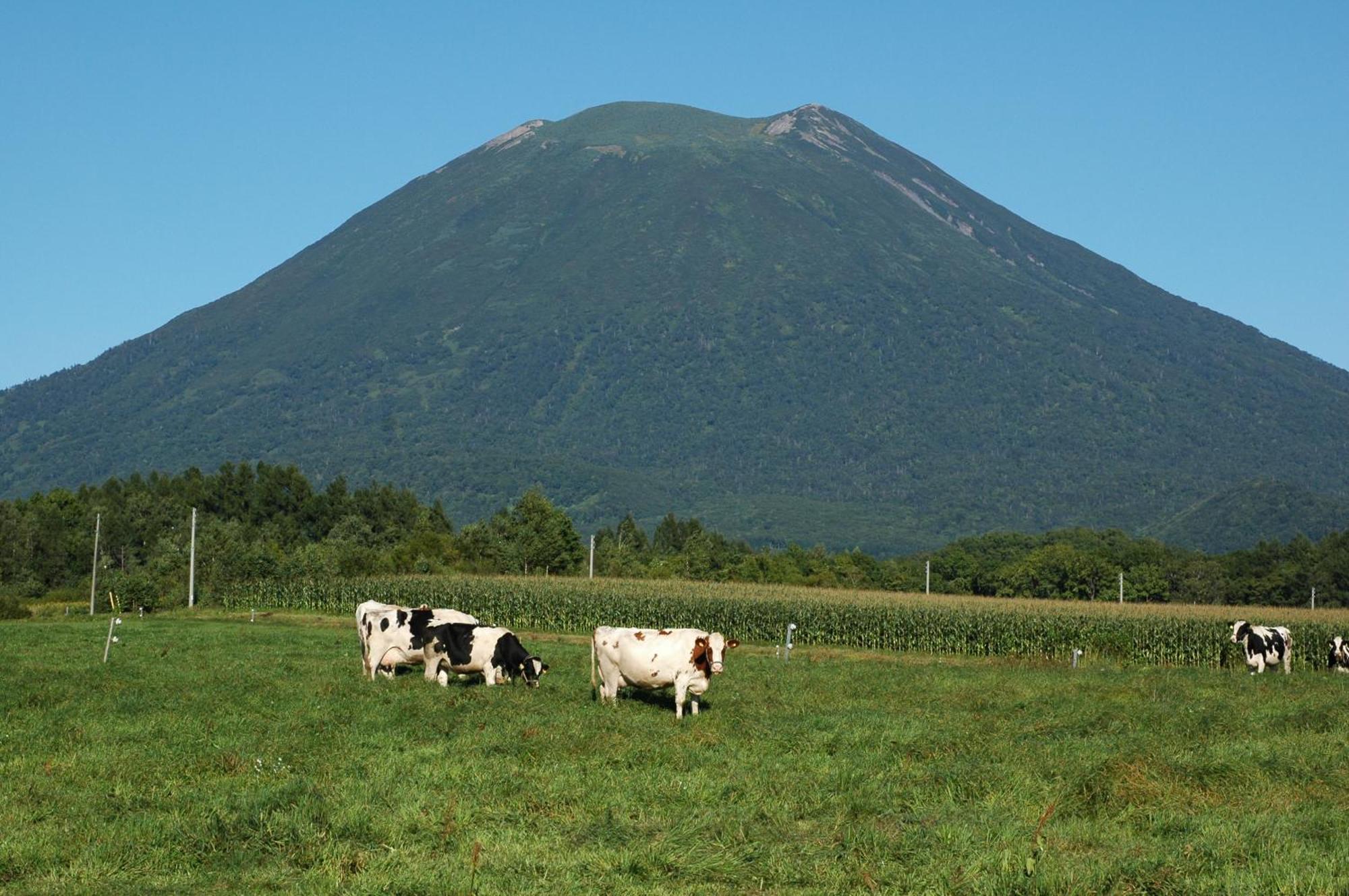 Niseko Highland Cottages Extérieur photo